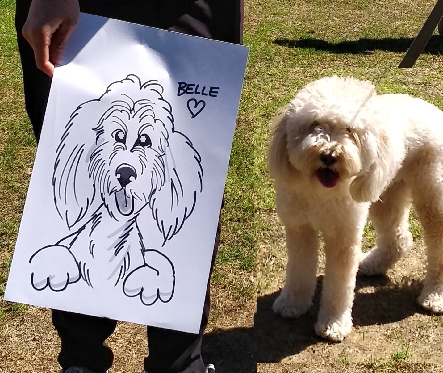Doggie 2